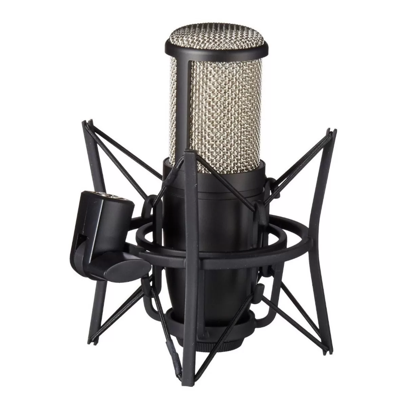 Micrófono AKG P220 Condensador Cardioide color negro